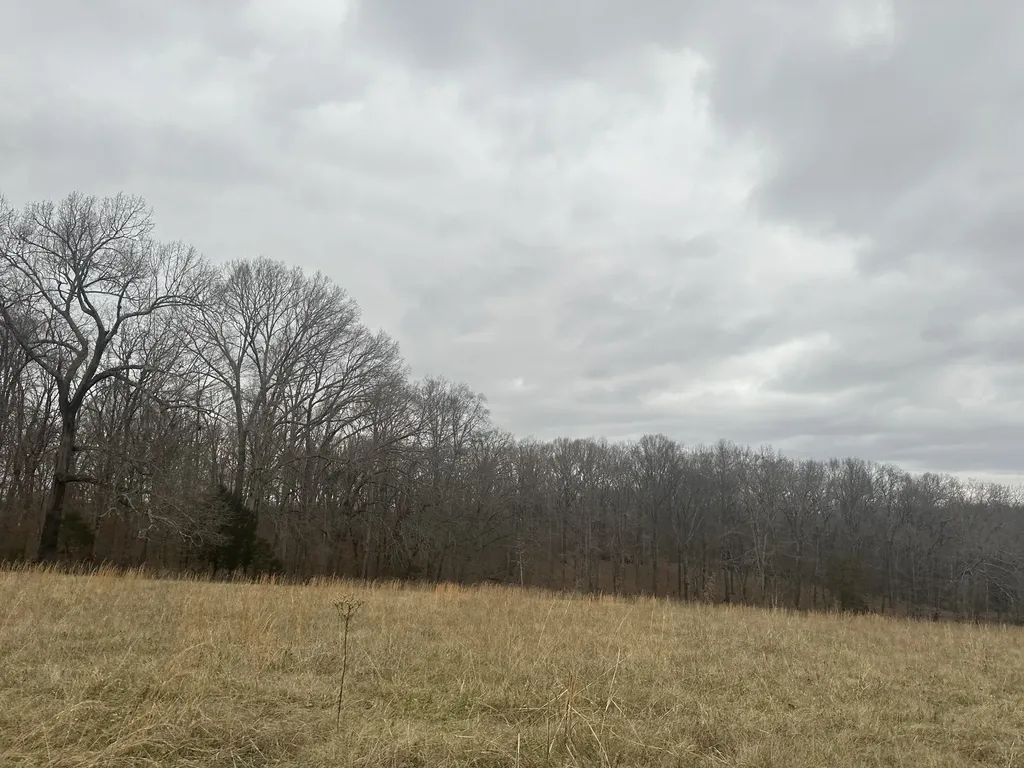 1 Myatt Loop Burns TN 37029