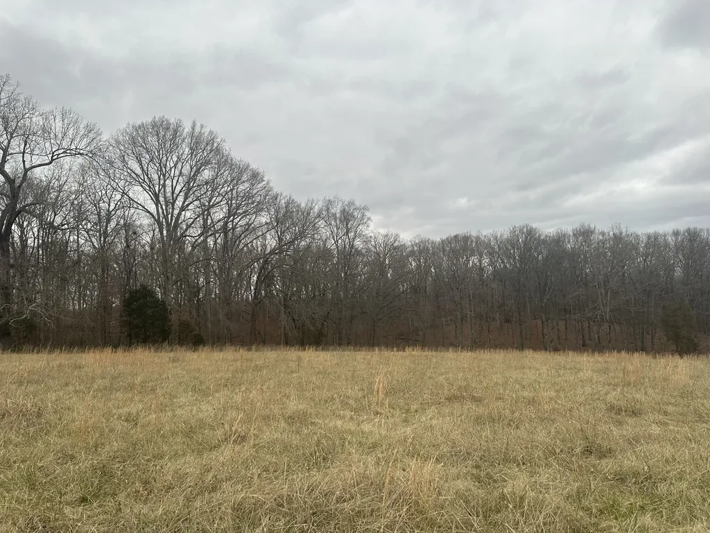 1 Myatt Loop Burns TN 37029