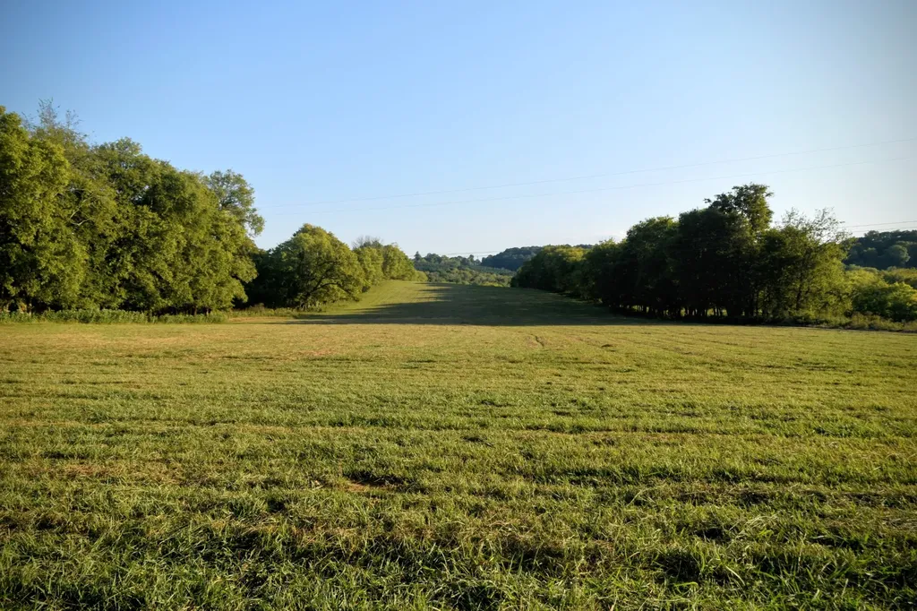 3 Mount Joy Road Mount Pleasant TN 38474