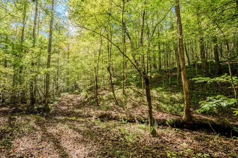 0 S Randall Road Westpoint TN 38486