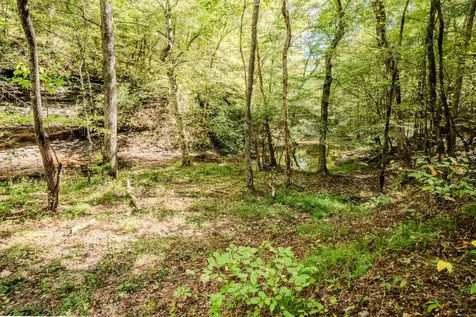 0 S Randall Road Westpoint TN 38486