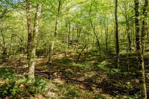 0 S Randall Road Westpoint TN 38486