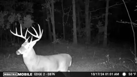 0 S Randall Road Westpoint TN 38486
