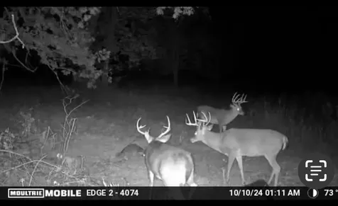0 S Randall Road Westpoint TN 38486