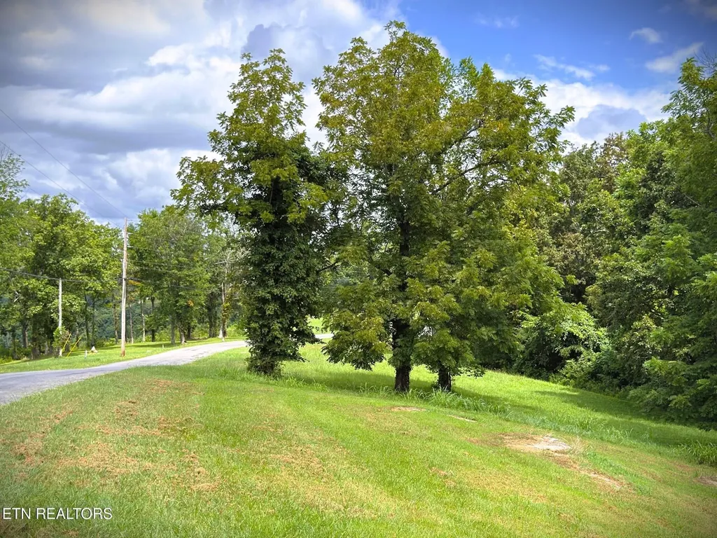 15 Swan Ridge Road Hilham TN 38568