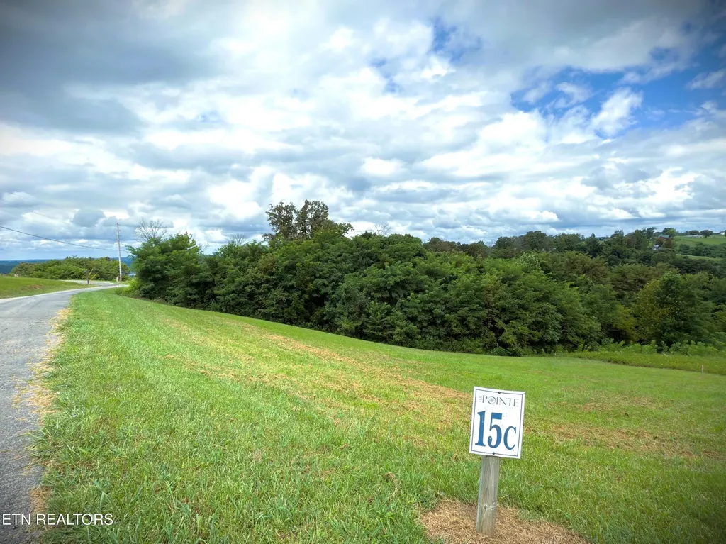 15 Swan Ridge Road Hilham TN 38568