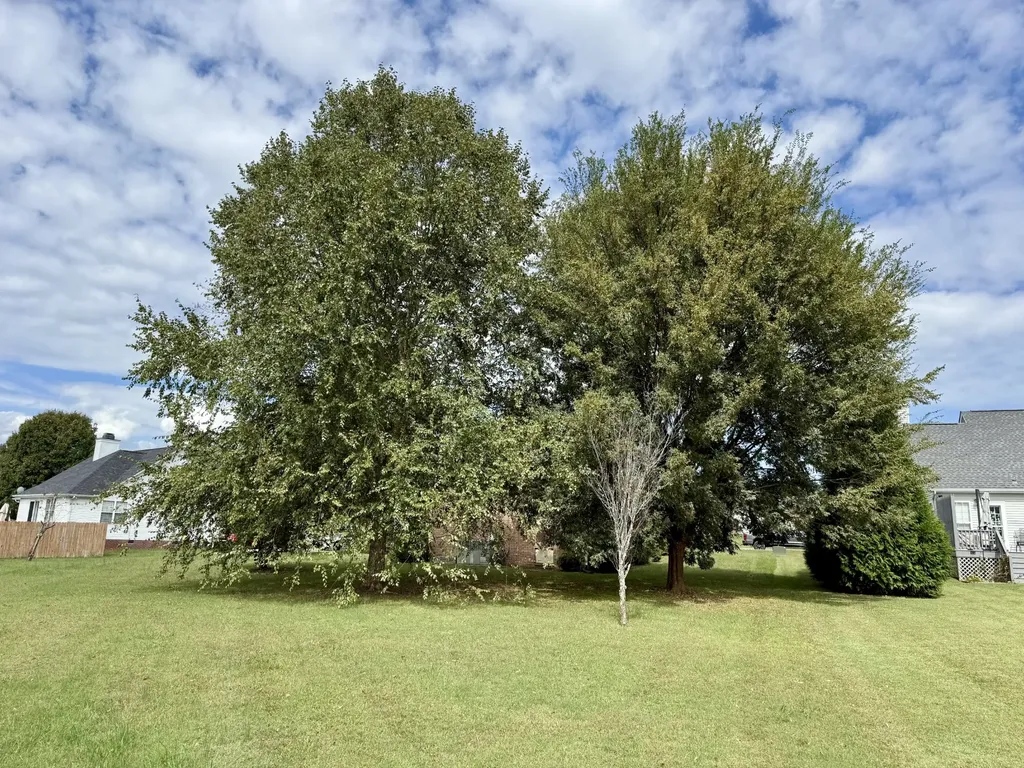 125 Maple Ridge Court Mcminnville TN 37110