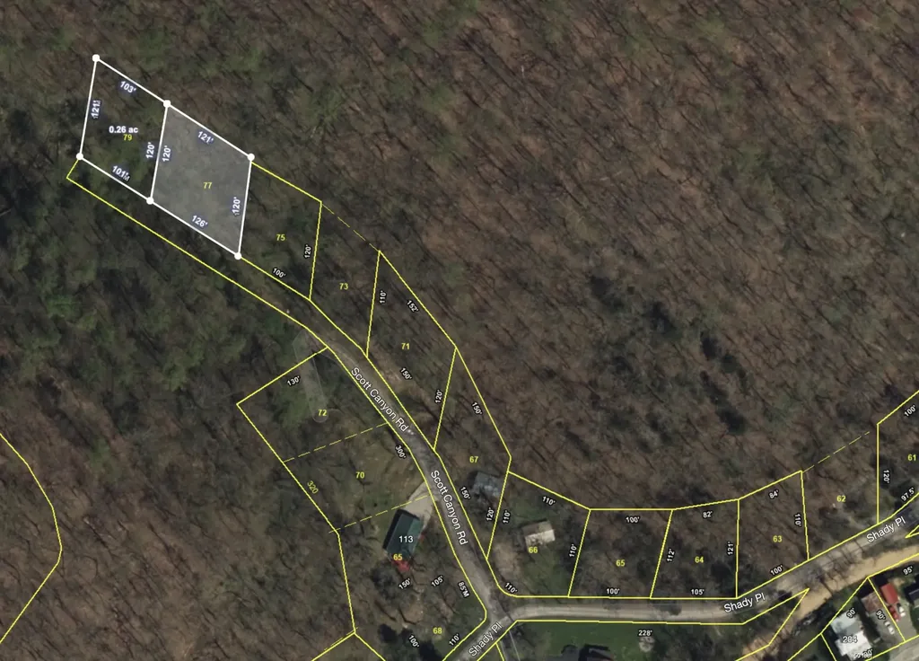 0 Scott Canyon Road Smithville TN 37166