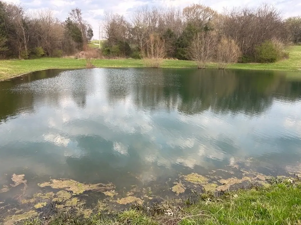1380 Haley Road Watertown TN 37184