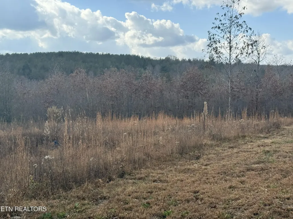 0 6.25 Acres Valerie Drive Deer Lodge TN 37726
