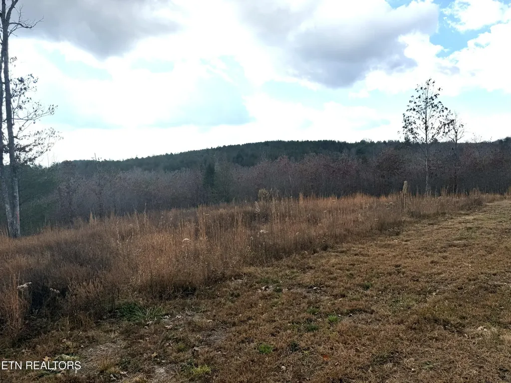 0 6.25 Acres Valerie Drive Deer Lodge TN 37726