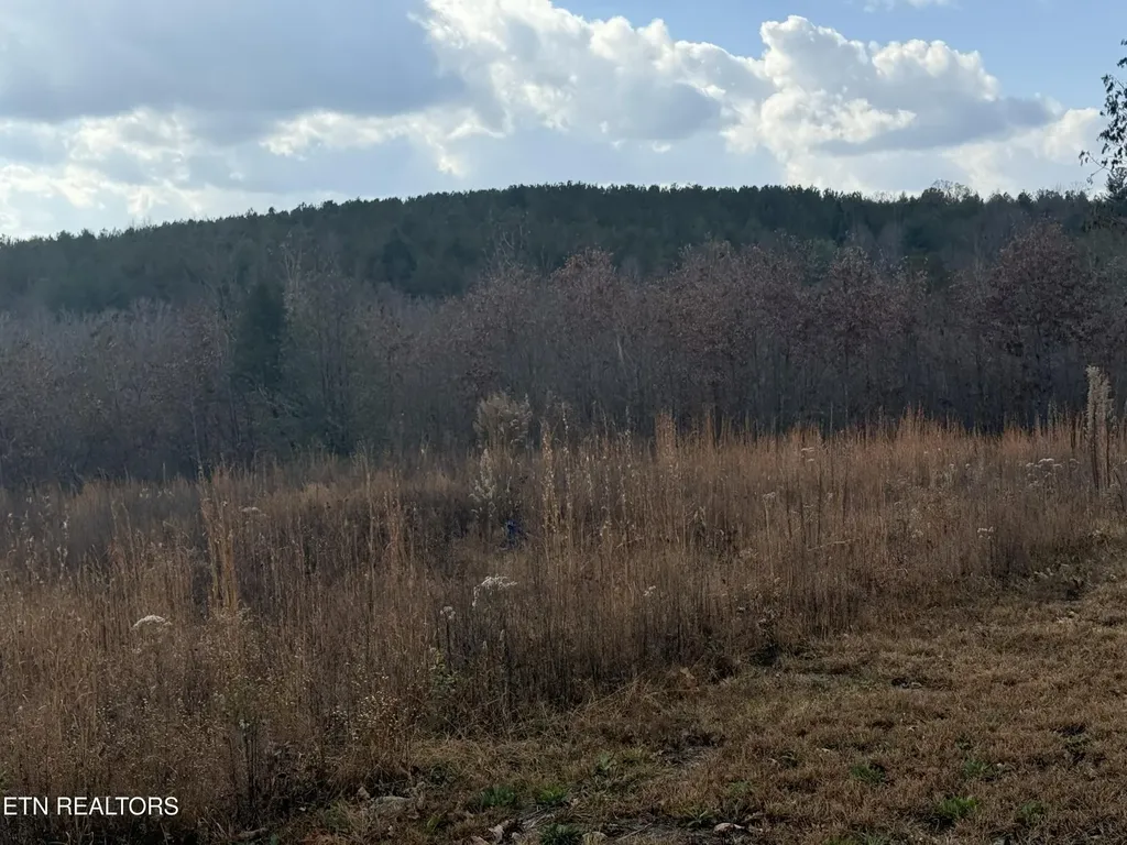 0 6.25 Acres Valerie Drive Deer Lodge TN 37726