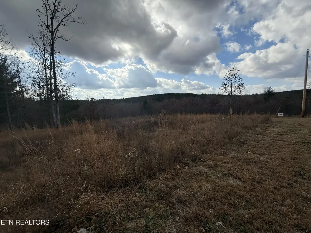 0 6.25 Acres Valerie Drive Deer Lodge TN 37726