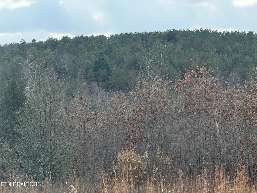 0 6.25 Acres Valerie Drive Deer Lodge TN 37726