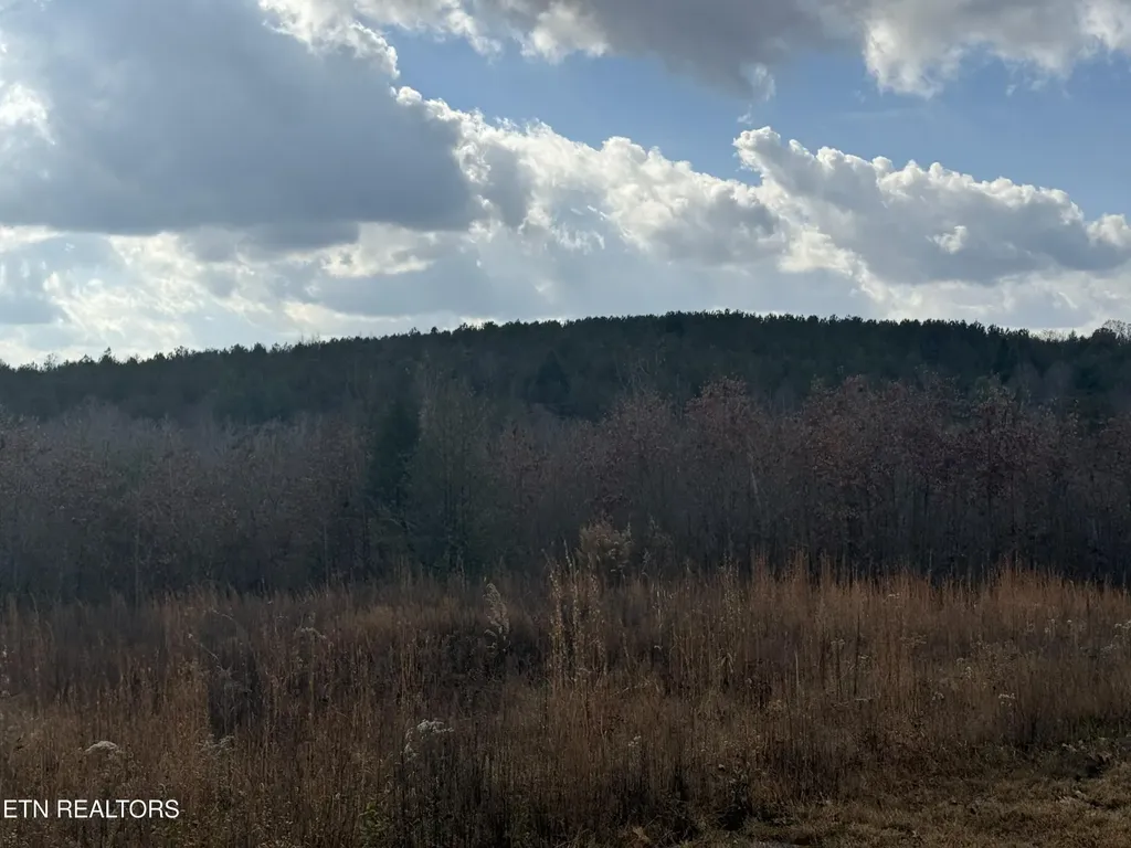 0 6.25 Acres Valerie Drive Deer Lodge TN 37726