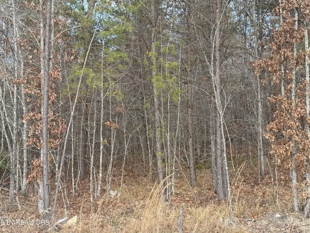 0 6.25 Acres Valerie Drive Deer Lodge TN 37726