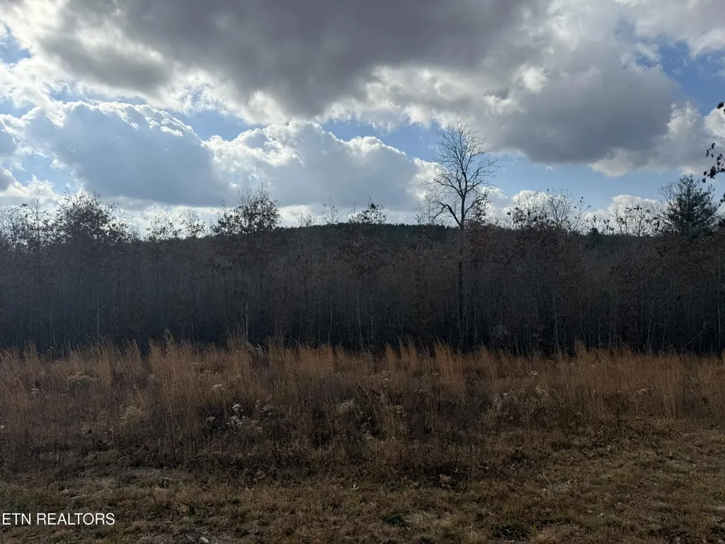 0 6.25 Acres Valerie Drive Deer Lodge TN 37726