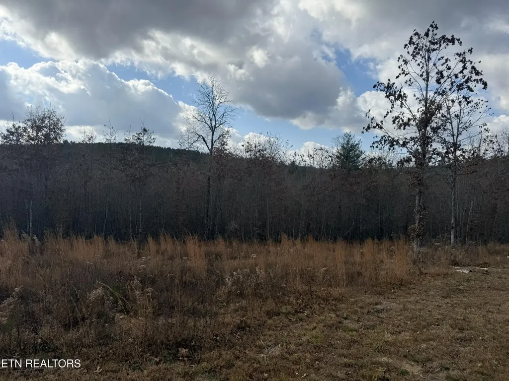 0 6.25 Acres Valerie Drive Deer Lodge TN 37726