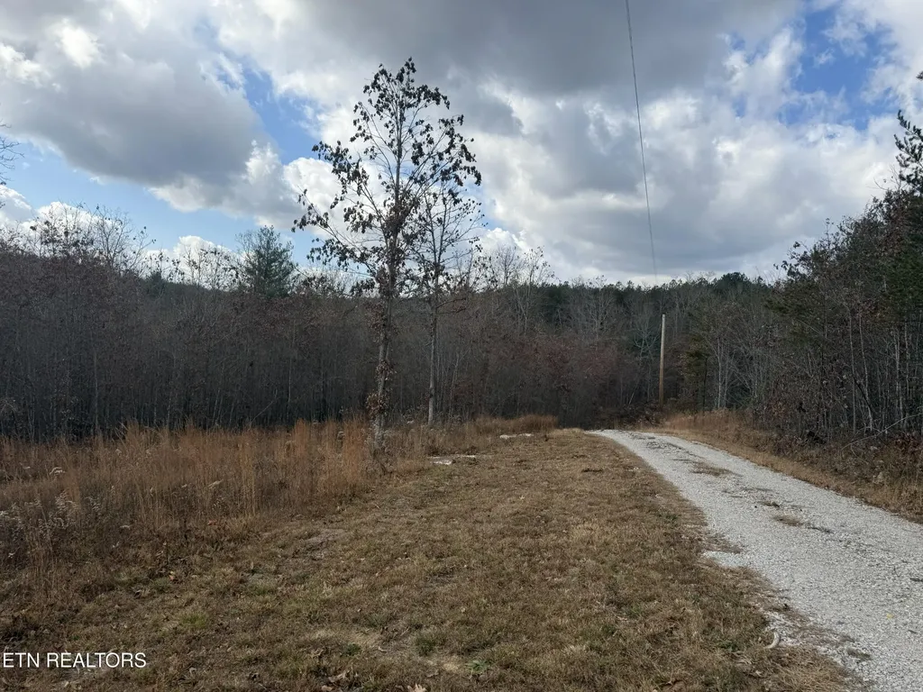 0 6.25 Acres Valerie Drive Deer Lodge TN 37726