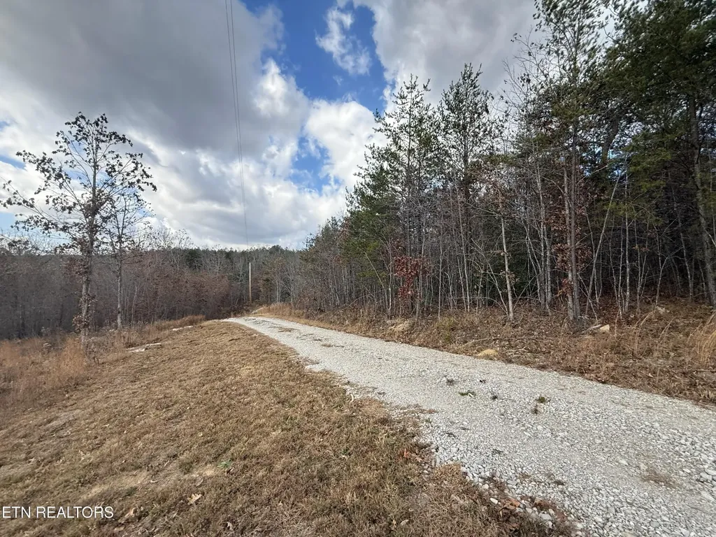 0 6.25 Acres Valerie Drive Deer Lodge TN 37726
