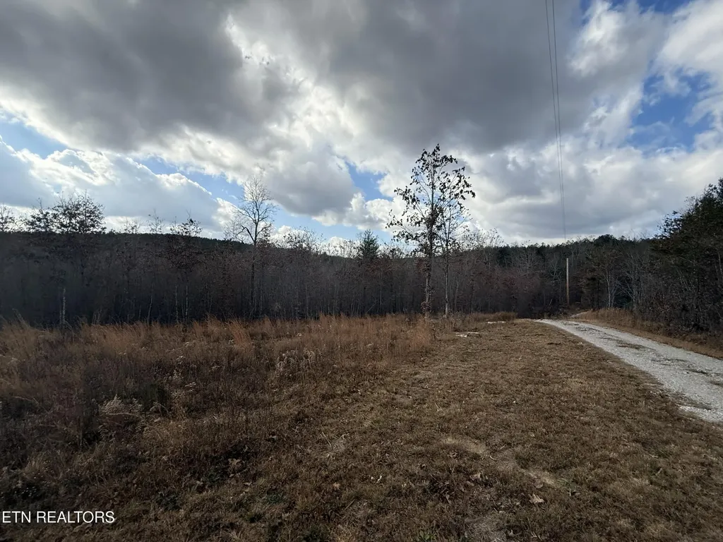 0 6.25 Acres Valerie Drive Deer Lodge TN 37726