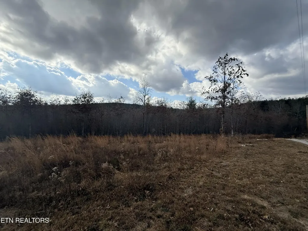 0 6.25 Acres Valerie Drive Deer Lodge TN 37726
