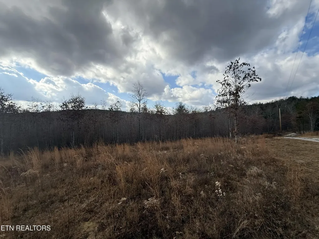 0 6.25 Acres Valerie Drive Deer Lodge TN 37726