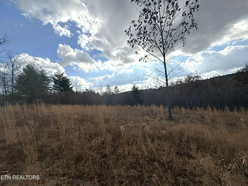 0 6.25 Acres Valerie Drive Deer Lodge TN 37726
