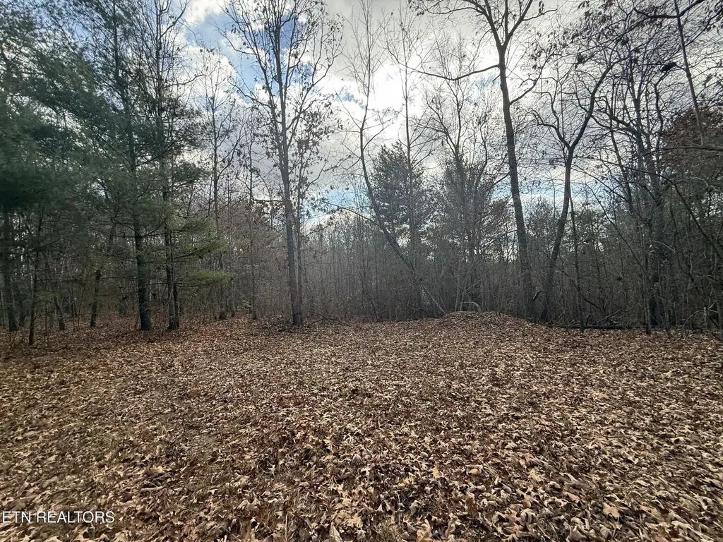 0 Valerie Drive 10.77 Acres Drive Deer Lodge TN 37726