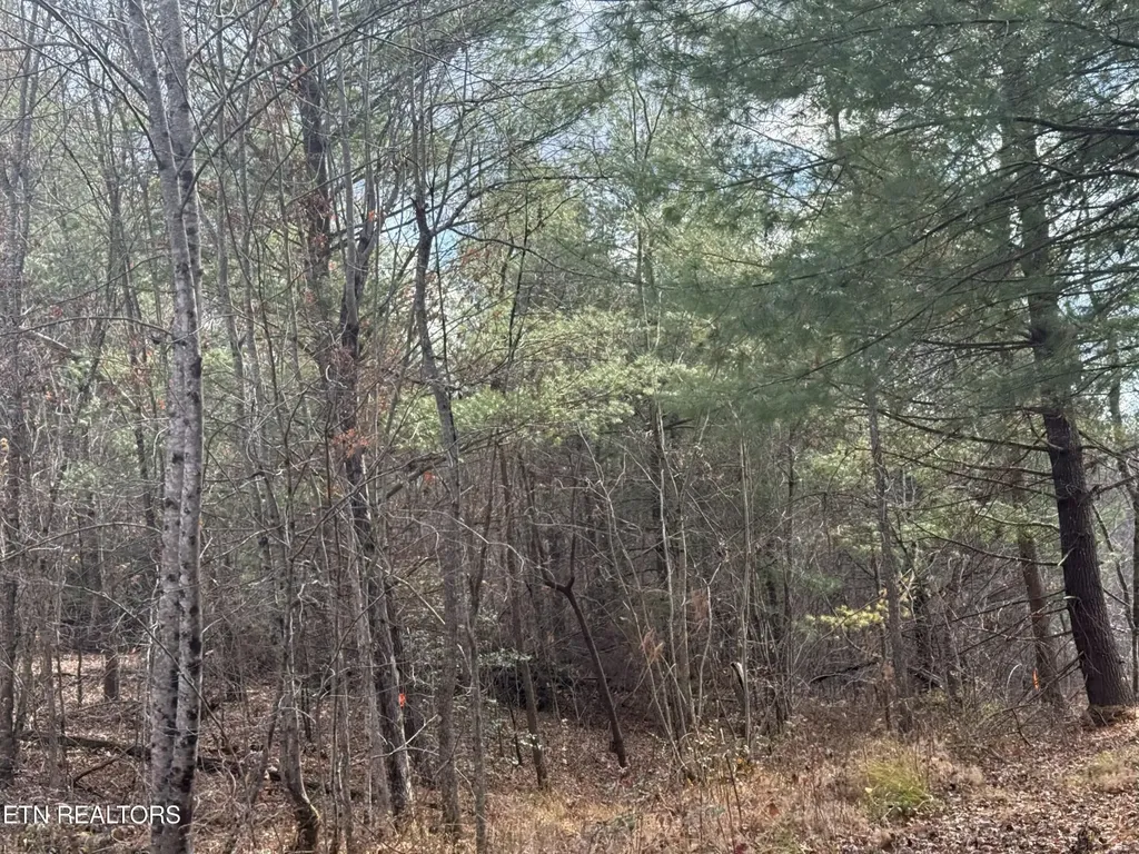 0 Valerie Drive 10.77 Acres Drive Deer Lodge TN 37726