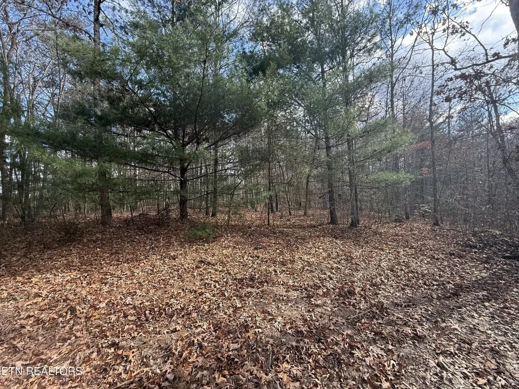 0 Valerie Drive 10.77 Acres Drive Deer Lodge TN 37726