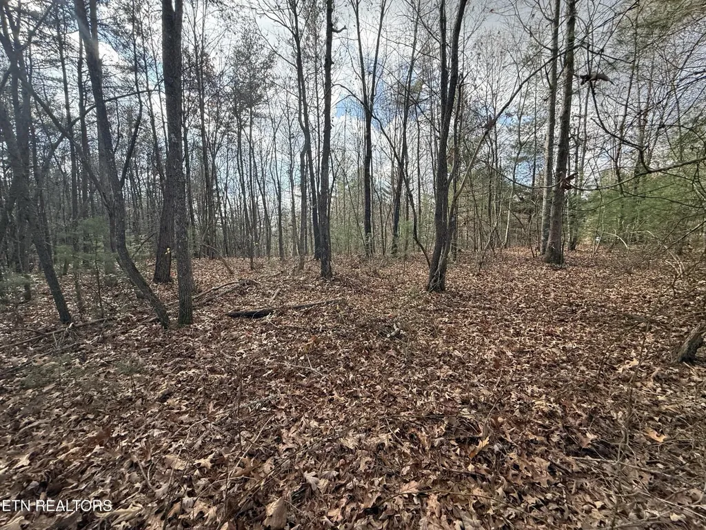 0 Valerie Drive 10.77 Acres Drive Deer Lodge TN 37726