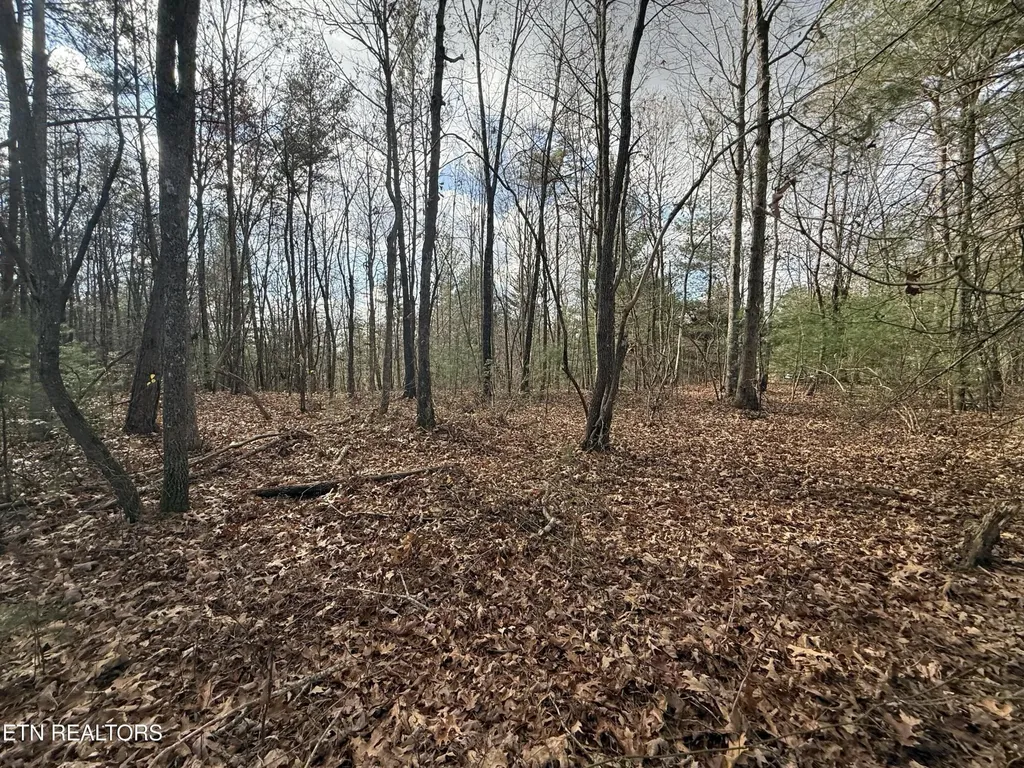 0 Valerie Drive 10.77 Acres Drive Deer Lodge TN 37726