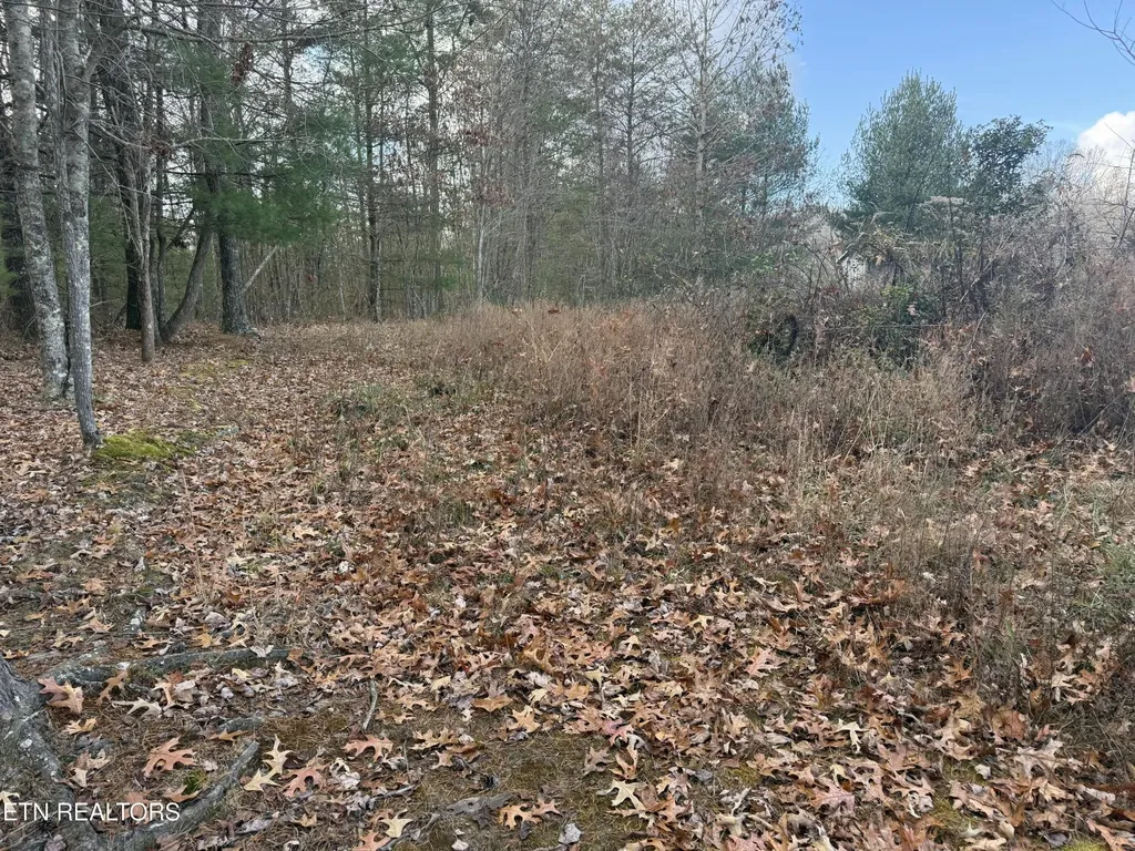 0 Valerie Drive 10.77 Acres Drive Deer Lodge TN 37726