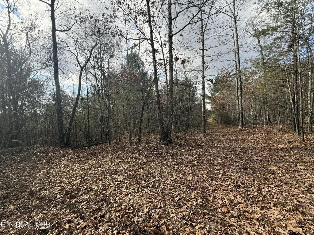 0 Valerie Drive 10.77 Acres Drive Deer Lodge TN 37726