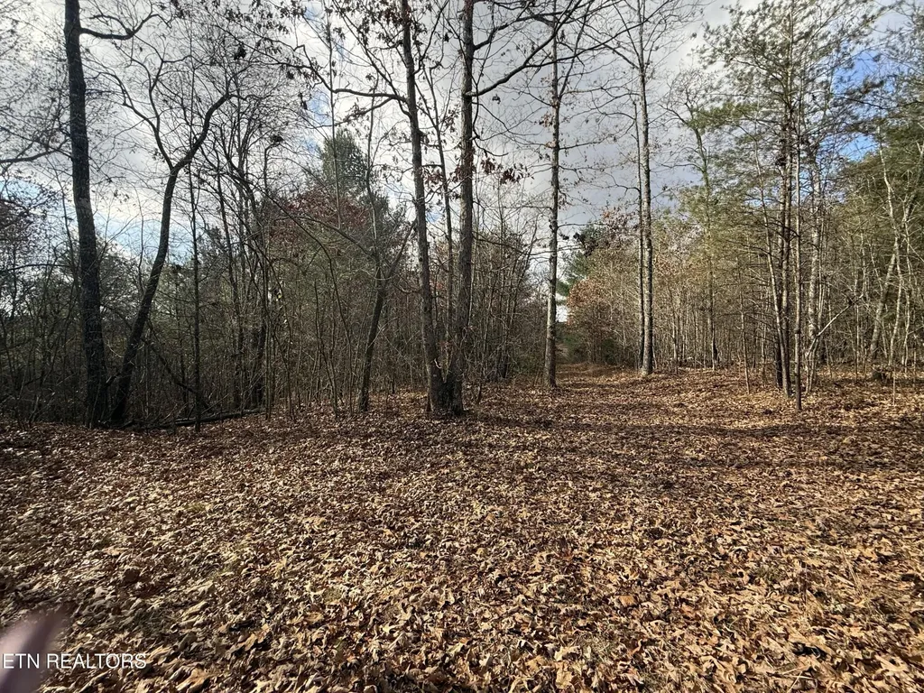 0 Valerie Drive 10.77 Acres Drive Deer Lodge TN 37726