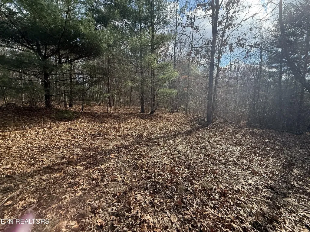 0 Valerie Drive 10.77 Acres Drive Deer Lodge TN 37726