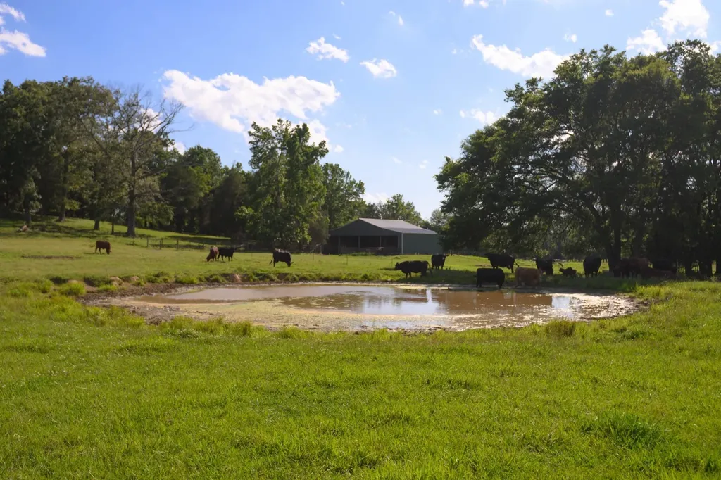 0 Coles Ferry Pike Lebanon TN 37087