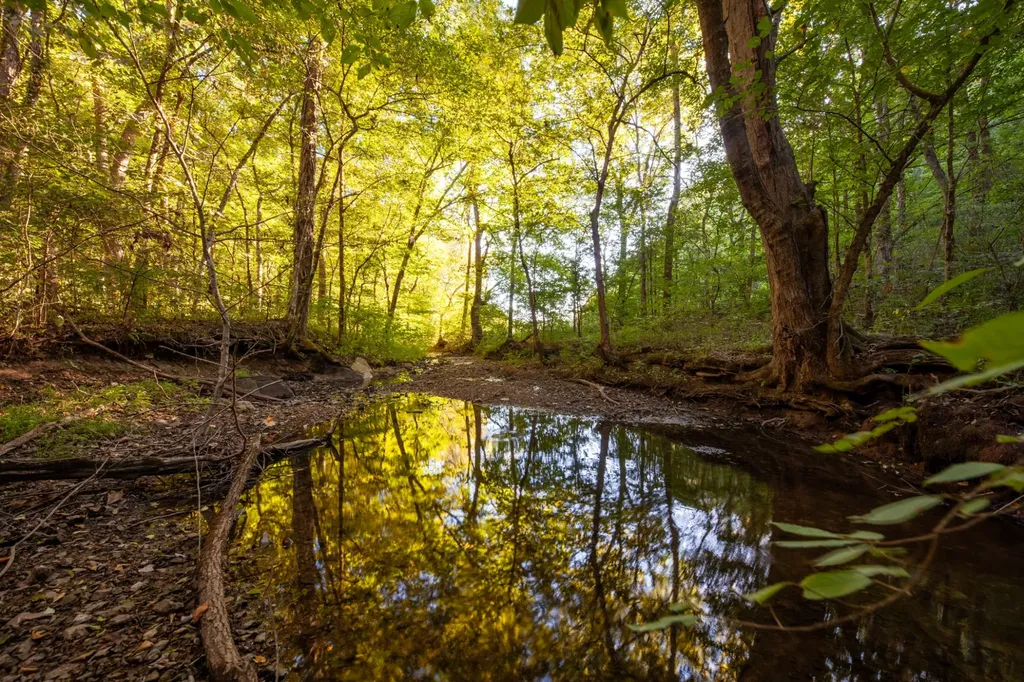 0 Sugar Ridge Road Spring Hill TN 37174