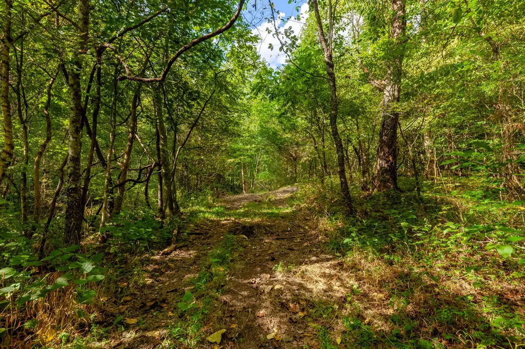 0 Sugar Ridge Road Spring Hill TN 37174