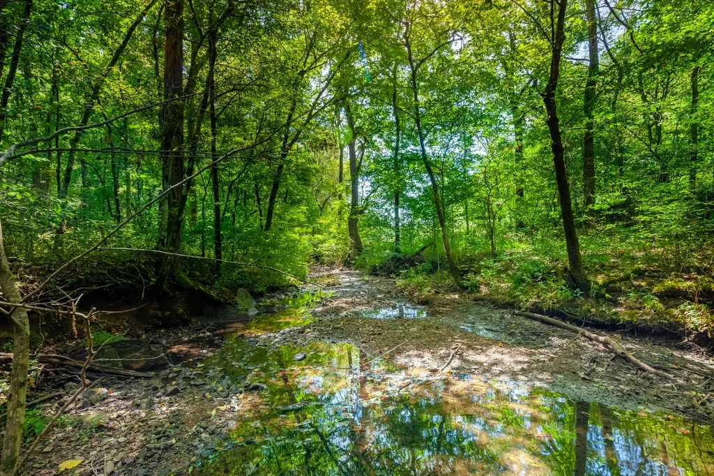 0 Sugar Ridge Road Spring Hill TN 37174