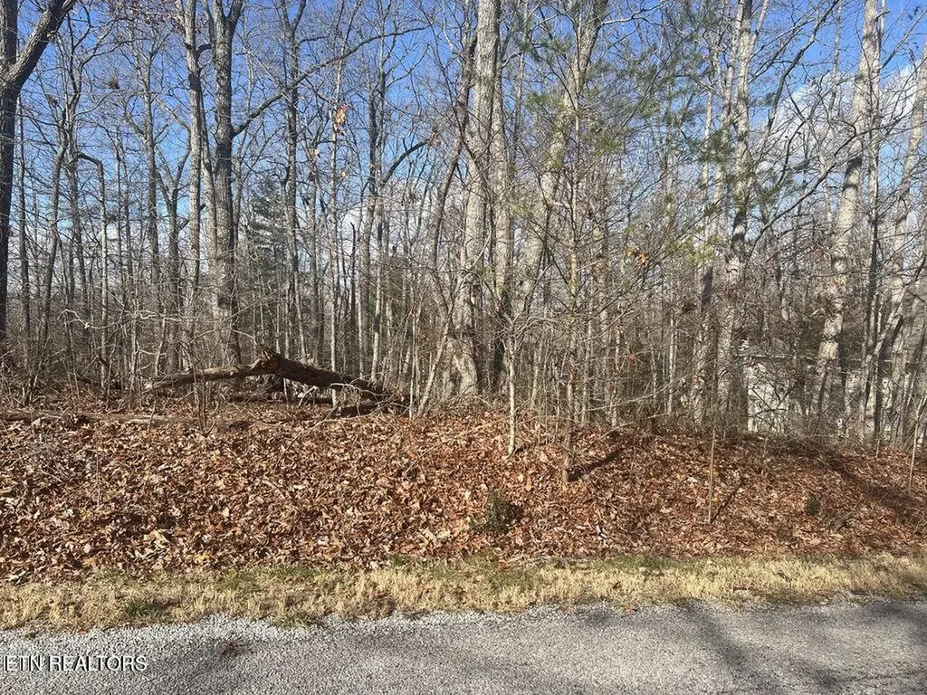 290 Kings Down Drive Crossville TN 38558