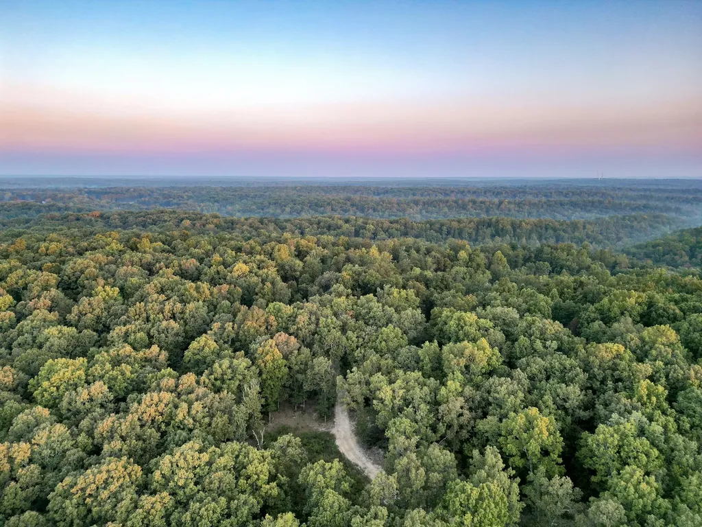1 Ccc Road Fairview TN 37062