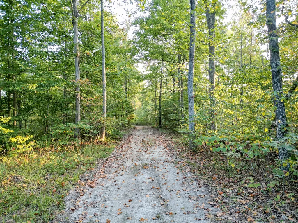 1 Ccc Road Fairview TN 37062