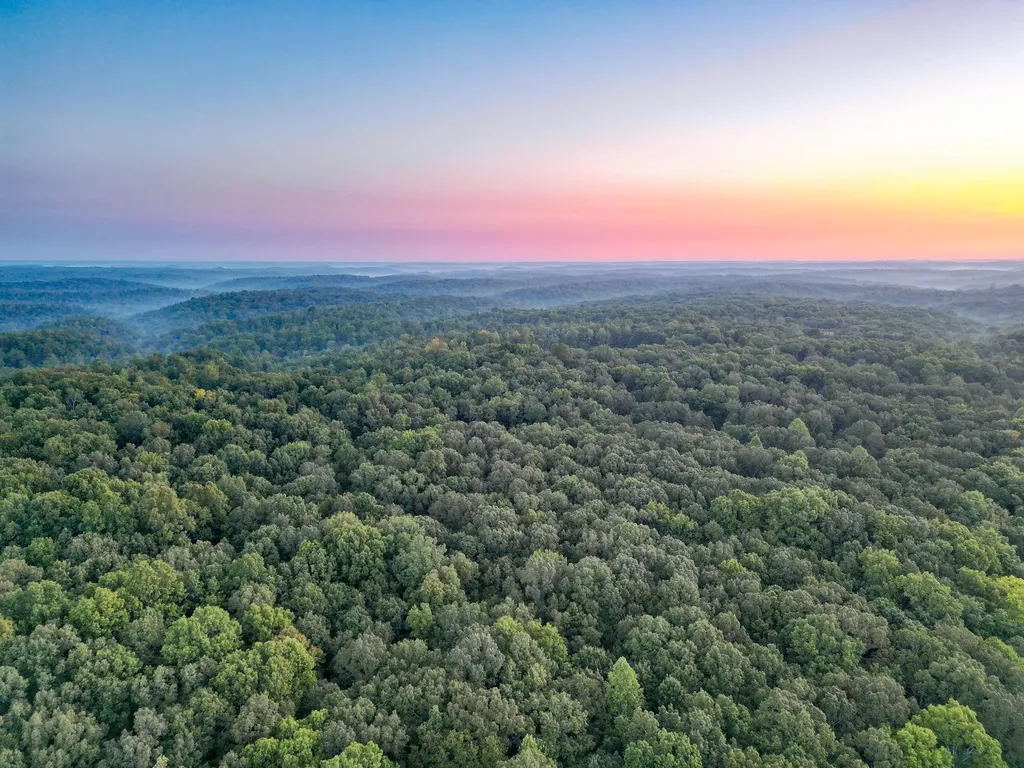 1 Ccc Road Fairview TN 37062