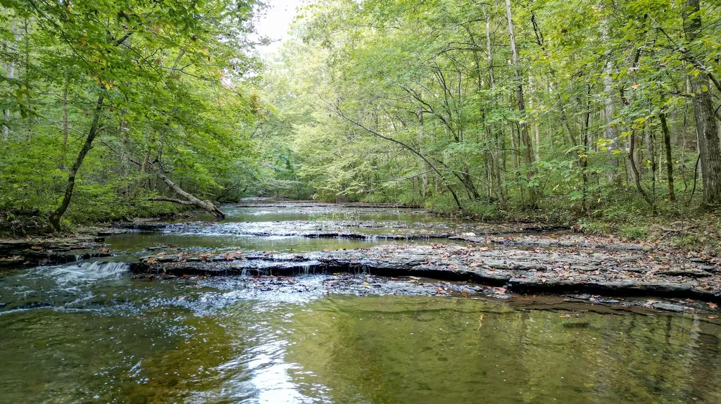 1 Ccc Road Fairview TN 37062