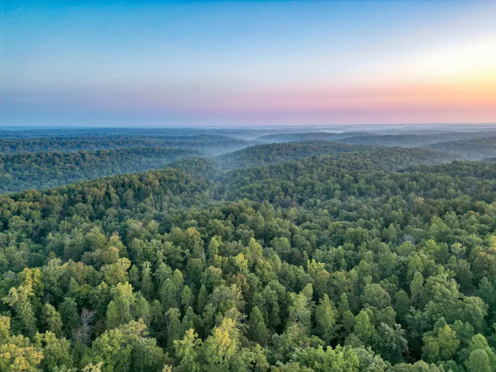1 Ccc Road Fairview TN 37062