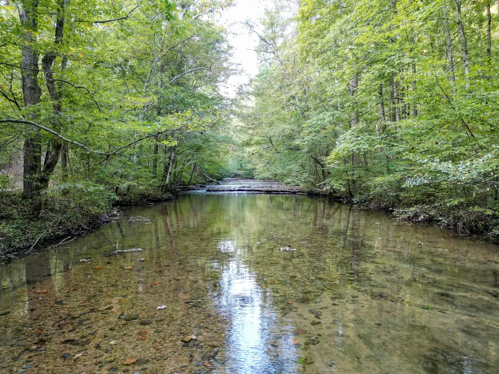 1 Ccc Road Fairview TN 37062