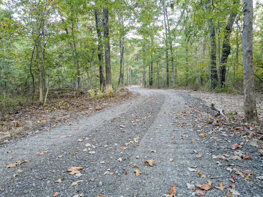1 Ccc Road Fairview TN 37062