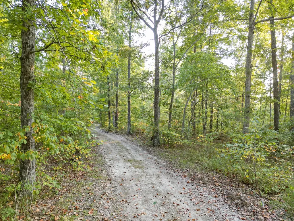 1 Ccc Road Fairview TN 37062